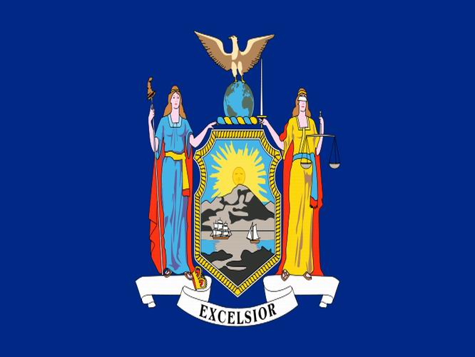 New York State Flag N8 free image download