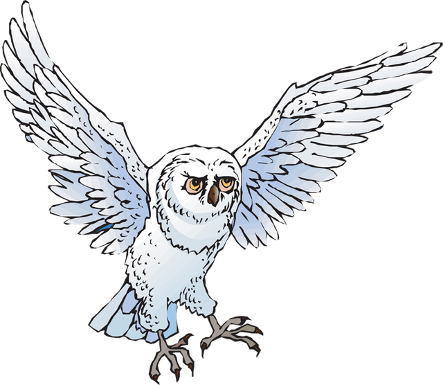 Snowy Owl Clip Art N11 free image download