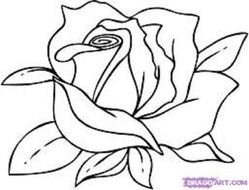Flowers As A Cartoon Rose Drawings