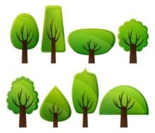 collage of trees of different shapes