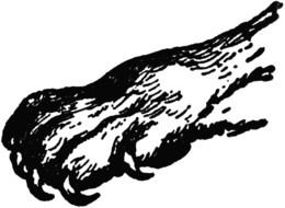 drawing of Black Panther Paw