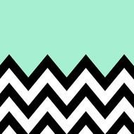 Mint Green Chevron Print N2
