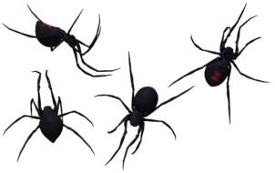 Black Widow Spider Clip Art drawing