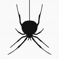 Spider Clip Art N58