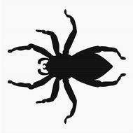Spider Clip Art N59