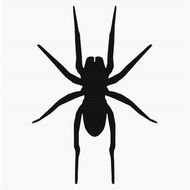Black Spider Clip Art N5
