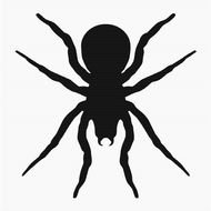Spider Clip Art N62