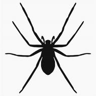 Spider Clip Art N63
