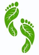 Green Footprints drawing