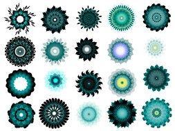 collage of black turquoise flowers