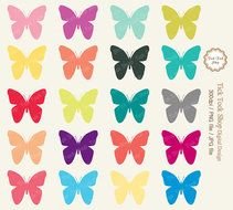 Colorful Butterfly Clip Art N17