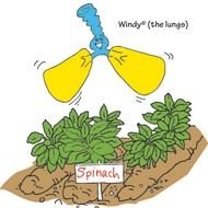 May Month Clip Art