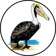 Animal Habitat Clip Art N9