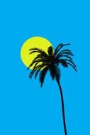 palm tree against the background of the sun and blue sky