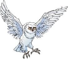 Snowy Owl Clip Art N11