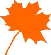painted bright orange maple leaf on a white background