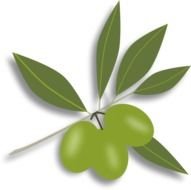 fresh Olive Green darwing