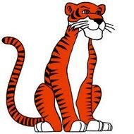nice cartoon tiger drawing