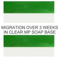 Green Color Soap Bars darwing