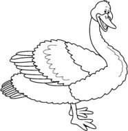 Swan Clip Art drawing