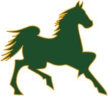 Horse Clip Art N151