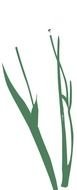 Flower Stem Clip Art N16