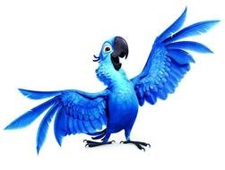 Beautiful Blue Rio from Rio 2 Movie