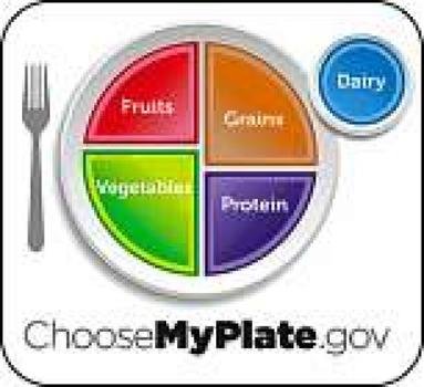 MyPlate Food Pyramid N5