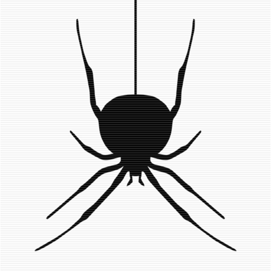 Spider Clip Art N58
