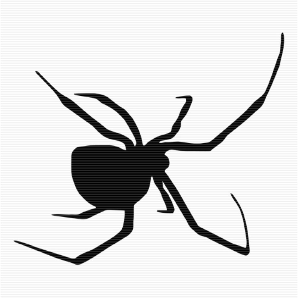 Spider Clip Art N60