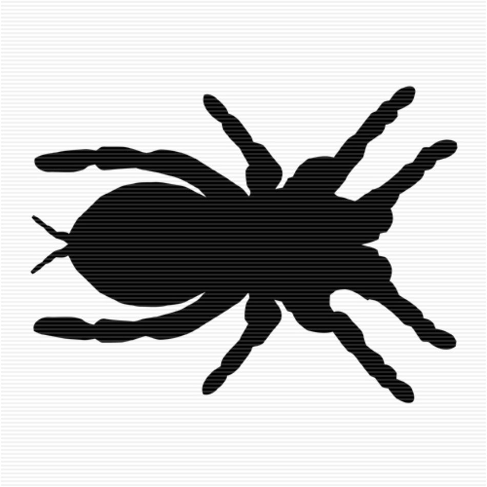 Spider Clip Art N61