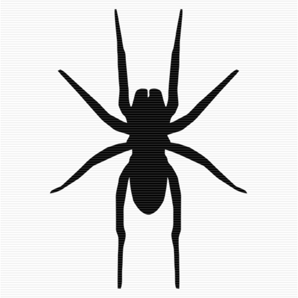 Black Spider Clip Art N5
