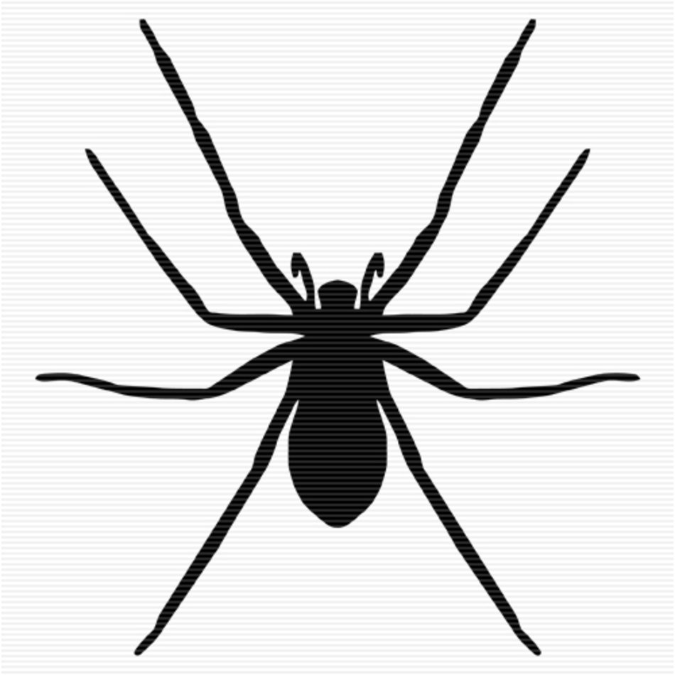 Spider Clip Art N63