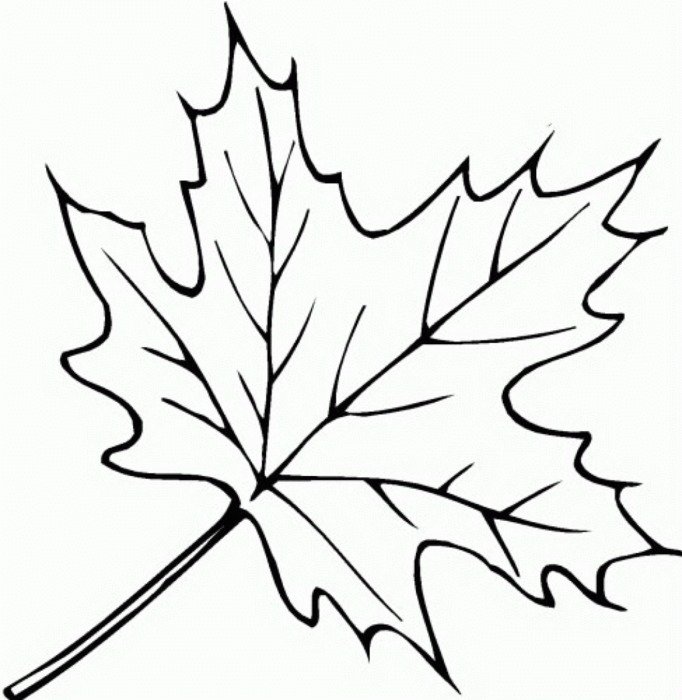 Leaf Coloring Pages N4