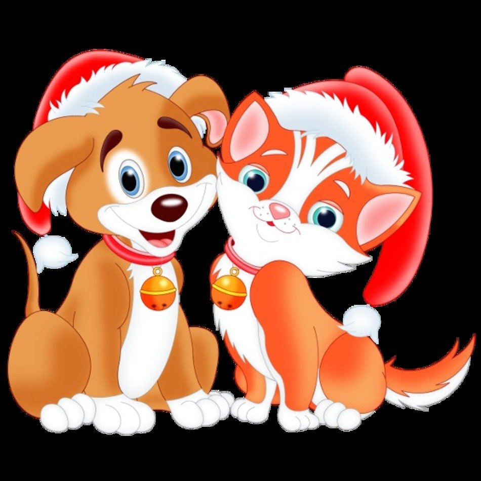 Dog And Cat Clip Art N50