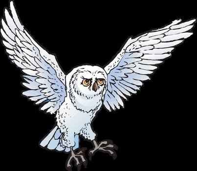 Snowy Owl Clip Art N11