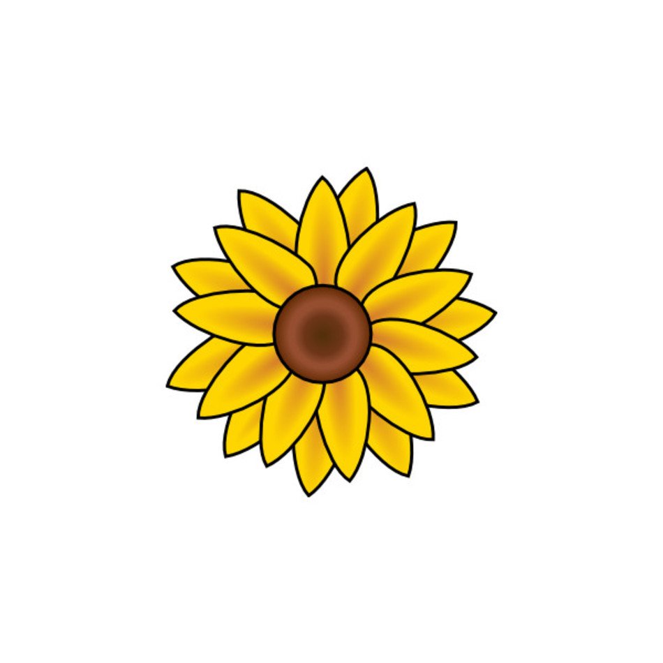 2725479jpg