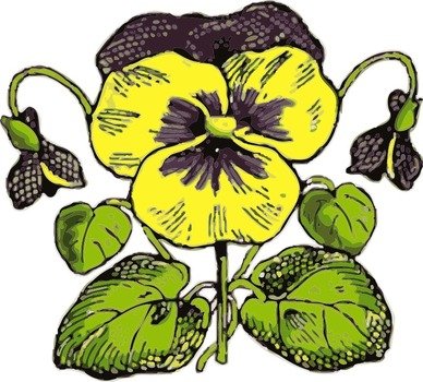 Pansy Flower Clip Art N12