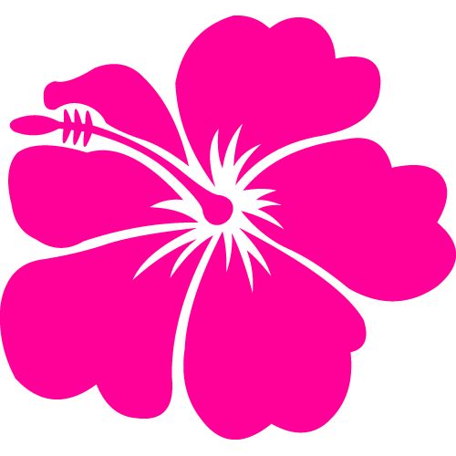 Hot Pink Flower Clip Art N9 free image download