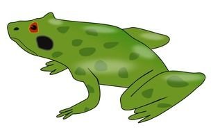 Green Tree Frog Clip Art drawing