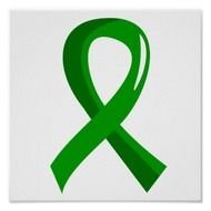 Brain Injury Awareness Ribbon N2