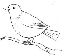 Bird Clip Art N204