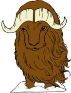 Cute brown buffalo clipart