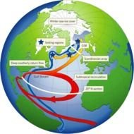 Gulf Stream Current
