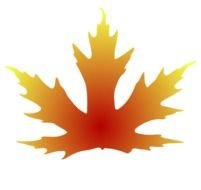 Maple Leaf Clip Art drawing