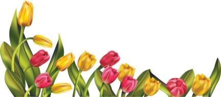 border with yellow and pink tulips