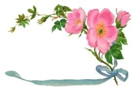 vintage floral frame