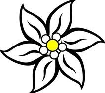 drawn leontopodium flower