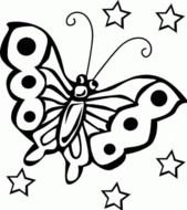 painted butterfly and stars in coloring book