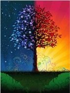 image of a tree at sunset and dawn